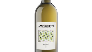 amphorum blanco-vignette